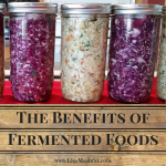 The Benefits of Fermented Foods